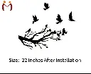 1000012790.webp